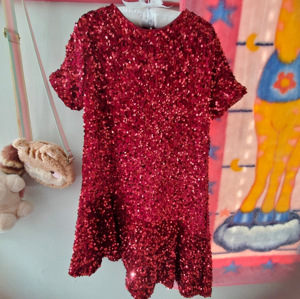 Zara Burgundy Sequin Dress